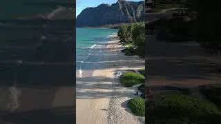 Thumbnail: Summer Island Reggae Drive 🌴 | Tropical Road Trip Vibes