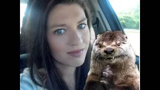 Thumbnail: KNells - Otter - Laser
