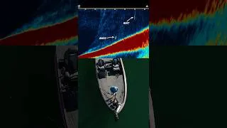 Thumbnail: Drop it down ➡️ Set the hook ➡️ Repeat 🔁 #Humminbird #MEGALive2