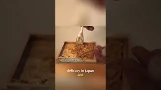 Thumbnail: The Japanese Delicacy Most People Are Afraid to Try