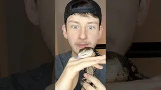 Thumbnail: Lizard Or Snake?! #shorts