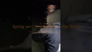 Thumbnail: Striper spring run is here 2025