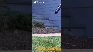 Thumbnail: Poulan Pro Backpack Leaf Blower | #shorts