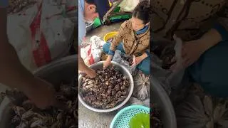 Thumbnail: ក្តាមស្រែធម្មជាតិ #shorts #shortvideo #viralshorts #market #streetfood