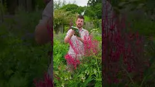 Thumbnail: Edimental Gardening | A First Look #gardening