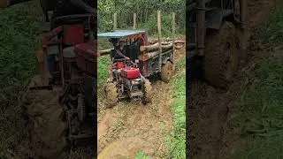Thumbnail: highland girl#agricultural #woodtruck##truck