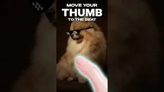 Thumbnail: 🐶 Move your THUMB to the beat! #hwbrothers #beatsync