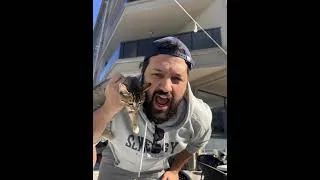Thumbnail: Subscribe now #shorts