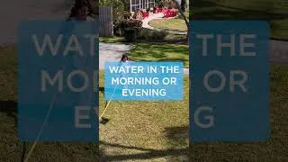 Thumbnail: Spring Lawn Watering Tips  #hydrotech #gardenhose #rubberhose #hydrotechhose #diy