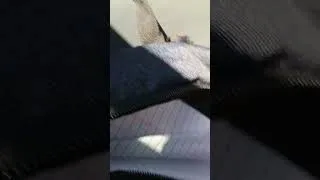 Thumbnail: throwing paper airplanes on the bus while driving