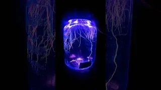 Thumbnail: Lightning in a Jar