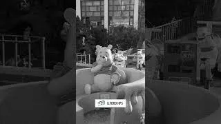 Thumbnail: Ilford HP5