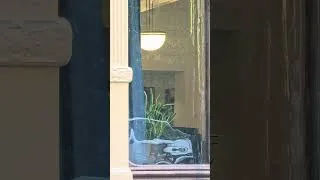 Thumbnail: MPL Offices - Soho, London, UK - July 2026