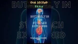 Thumbnail: Butterfly in the Stomach - SECOND BRAIN