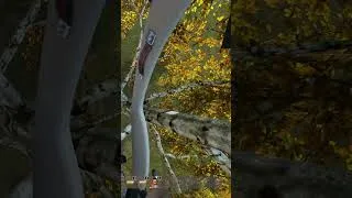 Thumbnail: When Your Pilot Has No Idea What They're Doing 😂💀🚁 #dayz #dayzgamers #dayzclips #dayzmod #funny