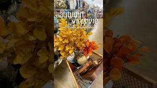 Thumbnail: TJ Maxx and HomeGoods Fall Shopping