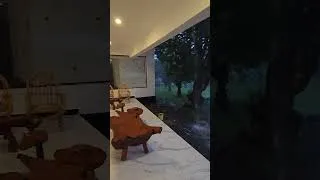 Thumbnail: Beautiful Rainy Days in the Village 😍