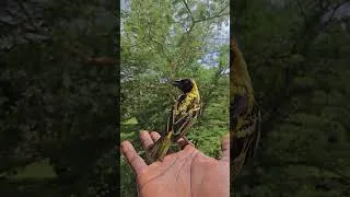 Thumbnail: Life in Villa Medellin