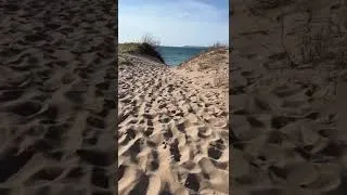 Thumbnail: Exploring Sand Dunes along Lake Michigan￼￼