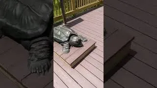 Thumbnail: Welcome to Texas