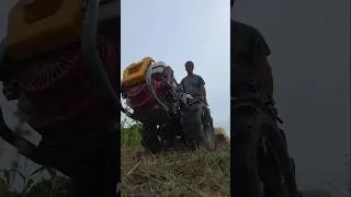 Thumbnail: Rotovating With Pasquali XB40