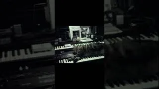 Thumbnail: CAT LISTENING TO MUSIC from Chris Marker's Bestiary: Five Short Films About Animals #cat #piano
