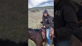 Thumbnail: Update on the adopted horses. They are all doing great.