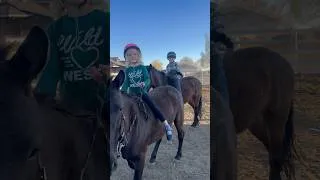 Thumbnail: Update on the mustangs.