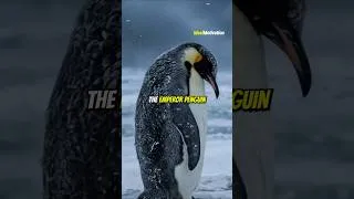 Thumbnail: The Animal That Redefines True Strength