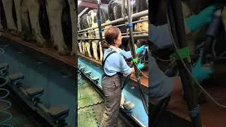 Thumbnail: Farm Safety Week 2026 | Shannon Porter’s Message #farmsafetyweek