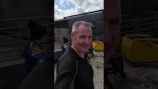 Thumbnail: Wild Excited Calves Vs A Full Family || Sure What Could Go Wrong