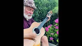 Thumbnail: El Cóndor Pasa - fingerstyle guitar arrangement