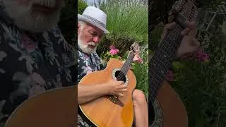 Thumbnail: Guantanamera - 12-string fingerstyle guitar cover