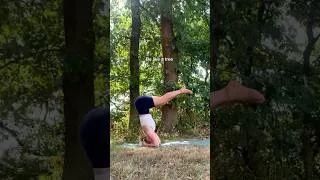 Thumbnail: Nature has the best teachers 🌳 #shorts #yoga #viralshorts #shortsfeed