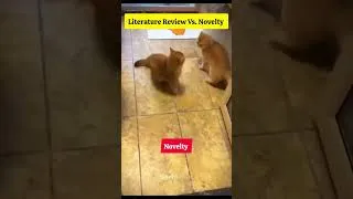 Thumbnail: Literature Review Vs Novelty 😹 #cat #ilovephd #memes