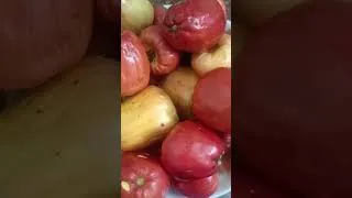 Thumbnail: #cashew #nostalgic , father's native place