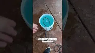 Thumbnail: Window cleaning hack!! Home diy window cleaning