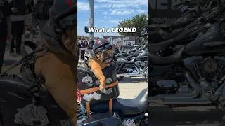 Thumbnail: I wanna be this guy when I grow up