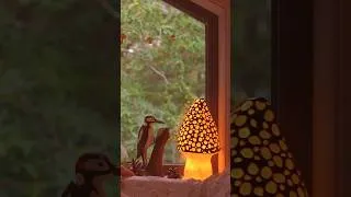 Thumbnail: cozy days  🌲🐿️✨  #relaxingvlog #silentvlog #slowliving #cottagecore