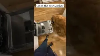 Thumbnail: My dog did this. 🦮🍽