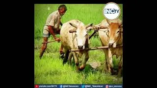 Thumbnail: MSP का कानून बनाने के लिए कांग्रेस किसानों के साथ संघर्ष करेगी! : Shri Jitu Patwari