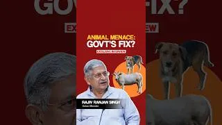 Thumbnail: Why are male calves abandoned on roads? Minister Lalan Singh explains
