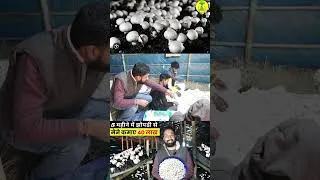 Thumbnail: मशरुम फार्मिंग से कैसे करे मोटी कमाई ll Mushroom Farm Business ll Mushroom Farming ll Buton Mushroom
