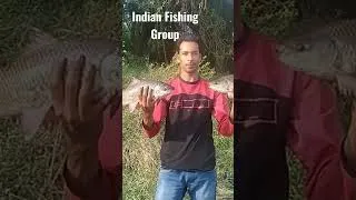 Thumbnail: Hyderabad Fishing 🎣 Carp Fishing 🎣 Amazing Rohu Fishing 🎣 Fishing Videos 🎣 Fishing #shorts #fishing
