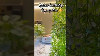 Thumbnail: My kitchen countertop organization #shorts #kitchenhacks #viralshorts #shortsfeed #budgetfriendly