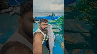 Thumbnail: EP-02 | The Sea Blessed Us Today 🙏🐟 | Day2 at Sea 🌊 #Minivlog #indianoceanfisherman