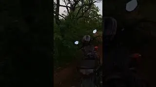 Thumbnail: Rawatbhata POV: The Green Side of Rajasthan 🌲 #indianoutdoorboys#kota #mukundara#jungleview #jungle