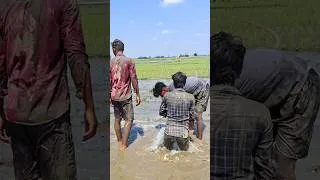 Thumbnail: Unfiltered life in a Indian Village #youtubeshorts #shortvideo #shorts #shortsfeed #short