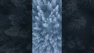 Thumbnail: Under Your Sky | Indie Folk Music #indiefolkmusic