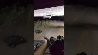 Thumbnail: Chasing them down in the Cam-Am